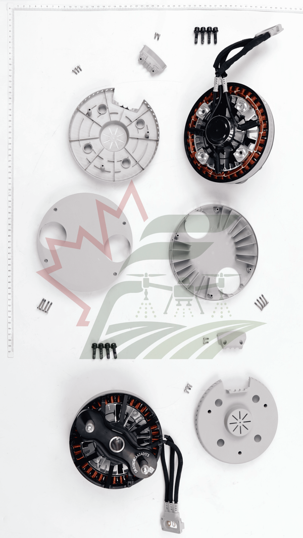 Arm Motor