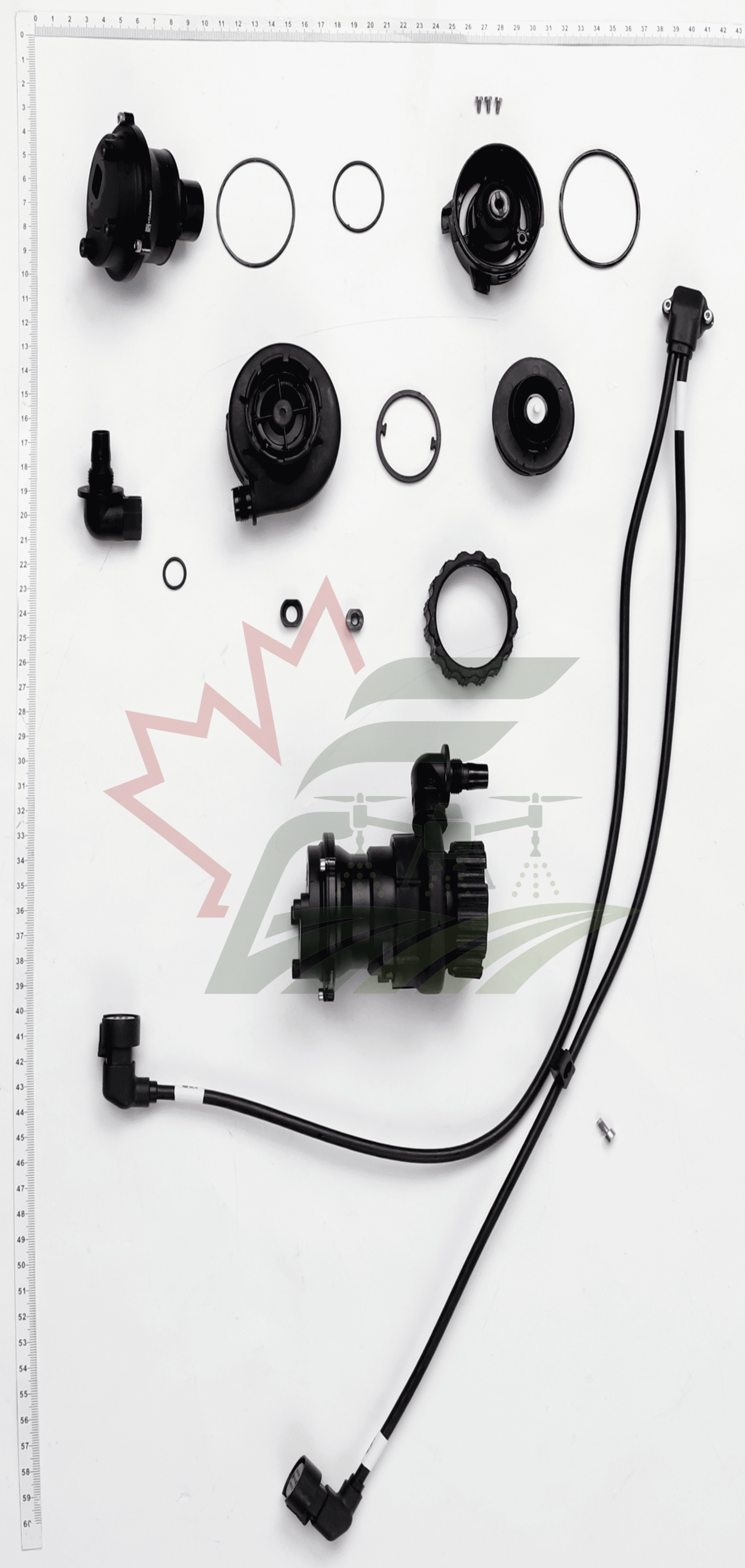 Impeller Pump Assembly