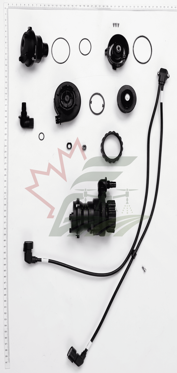Impeller Pump Assembly
