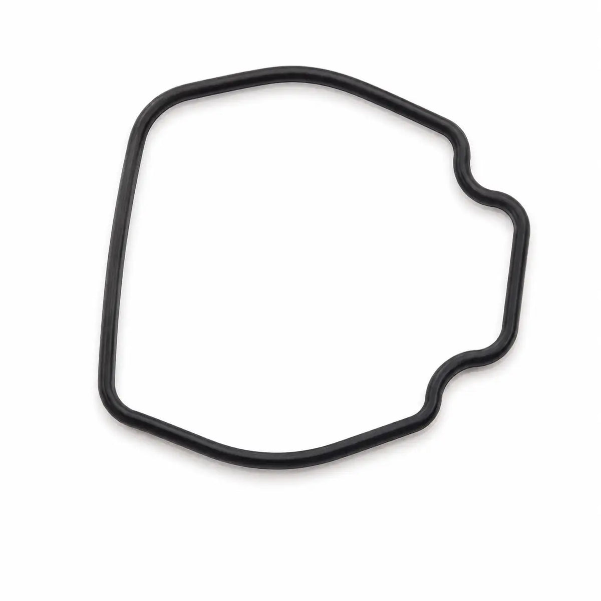 Sealing Ring L (YC.JG.MY002093) — DJI Agras part, True North Ag Canada (image 2)