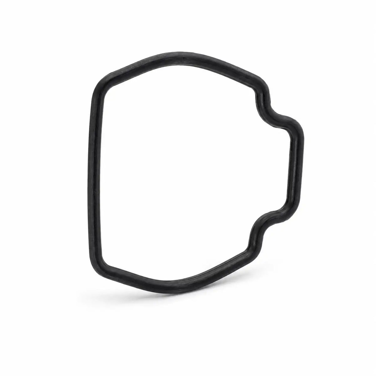 Sealing Ring L (YC.JG.MY002093) — DJI Agras part, True North Ag Canada (image 4)