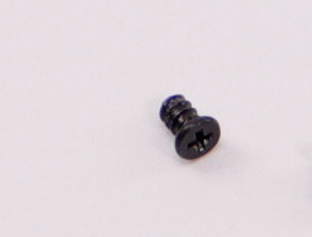 Screw (T20-PC00300030-030006-3123-N)